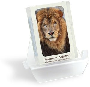 Lion.jpg